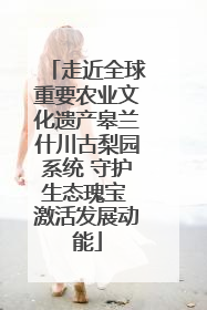 走近全球重要农业文化遗产皋兰什川古梨园系统 守护生态瑰宝 激活发展动能
