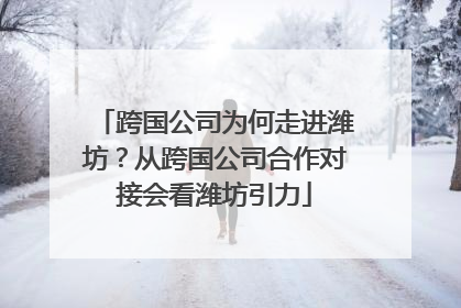 跨国公司为何走进潍坊？从跨国公司合作对接会看潍坊引力