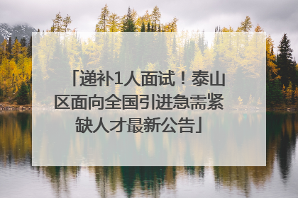 递补1人面试！泰山区面向全国引进急需紧缺人才最新公告