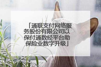 通联支付网络服务股份有限公司以保付通数经平台助保险业数字升级