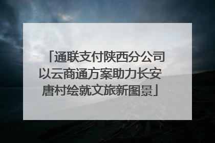 通联支付陕西分公司以云商通方案助力长安唐村绘就文旅新图景