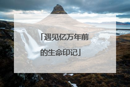 遇见亿万年前的生命印记