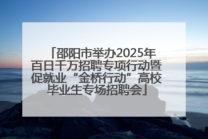 邵阳市举办2025年百日千万招聘专项行动暨促就业“金桥行动”高校毕业生专场招聘会