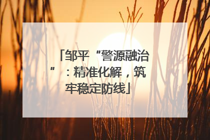 邹平“警源融治”：精准化解，筑牢稳定防线
