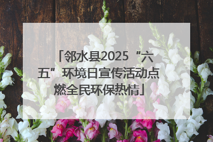 邻水县2025“六五”环境日宣传活动点燃全民环保热情