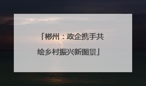 郴州：政企携手共绘乡村振兴新图景