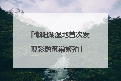 鄱阳湖湿地首次发现彩鹮筑巢繁殖
