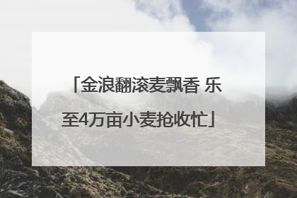 金浪翻滚麦飘香 乐至4万亩小麦抢收忙