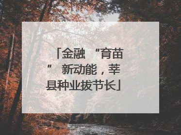 金融 “育苗” 新动能，莘县种业拔节长
