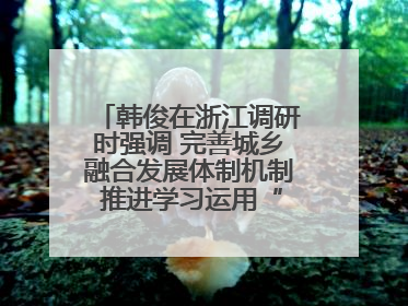 韩俊在浙江调研时强调 完善城乡融合发展体制机制 推进学习运用“千万工程”经验走深走实