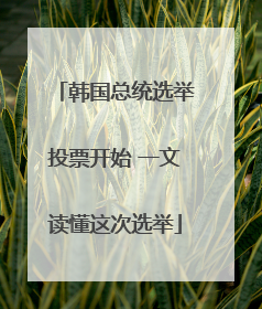 韩国总统选举投票开始 一文读懂这次选举