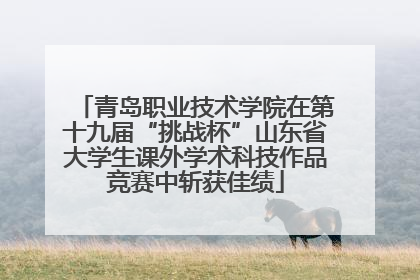青岛职业技术学院在第十九届“挑战杯”山东省大学生课外学术科技作品竞赛中斩获佳绩