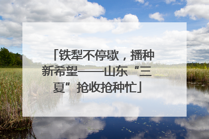 铁犁不停歇，播种新希望——山东“三夏”抢收抢种忙