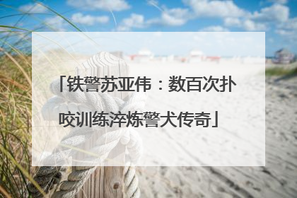铁警苏亚伟：数百次扑咬训练淬炼警犬传奇
