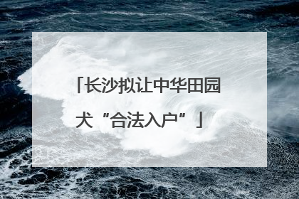 长沙拟让中华田园犬“合法入户”