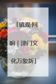 镜观·回响｜津门文化万象新
