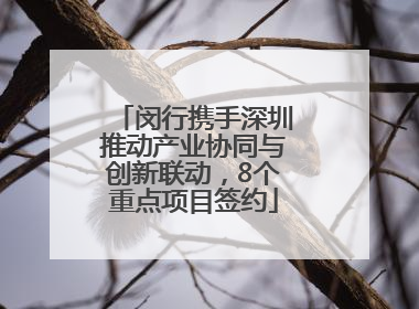 闵行携手深圳推动产业协同与创新联动，8个重点项目签约