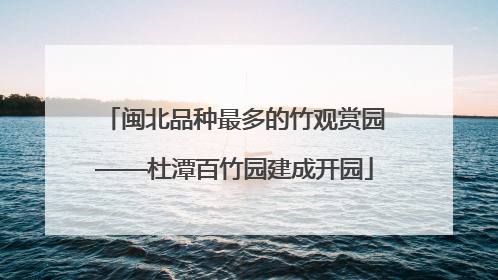 闽北品种最多的竹观赏园——杜潭百竹园建成开园
