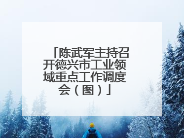 陈武军主持召开德兴市工业领域重点工作调度会（图）