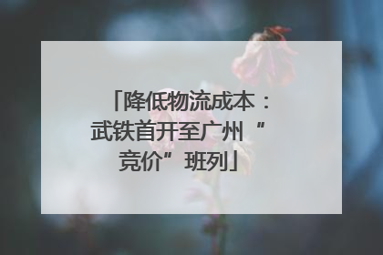 降低物流成本：武铁首开至广州“竞价”班列