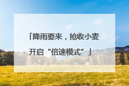 降雨要来，抢收小麦开启“倍速模式”