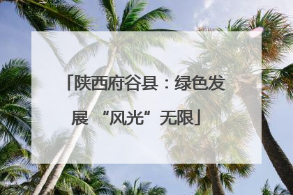 陕西府谷县：绿色发展 “风光”无限