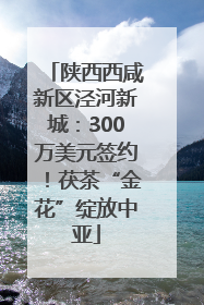 陕西西咸新区泾河新城：300万美元签约！茯茶“金花”绽放中亚