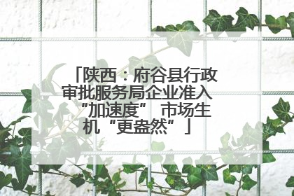 陕西：府谷县行政审批服务局企业准入“加速度” 市场生机“更盎然”
