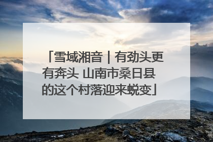 雪域湘音｜有劲头更有奔头 山南市桑日县的这个村落迎来蜕变