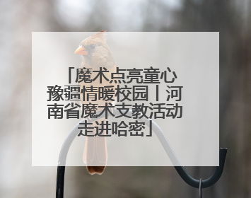 魔术点亮童心 豫疆情暖校园丨河南省魔术支教活动走进哈密