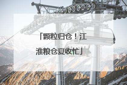 颗粒归仓！江淮粮仓夏收忙