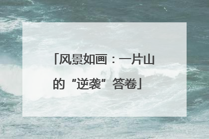 风景如画：一片山的“逆袭”答卷