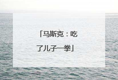 马斯克：吃了儿子一拳