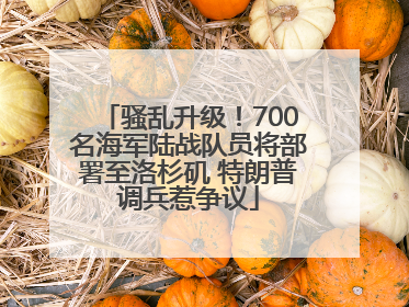 骚乱升级！700名海军陆战队员将部署至洛杉矶 特朗普调兵惹争议