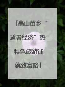 高山苗乡“避暑经济”热 特色旅游铺就致富路