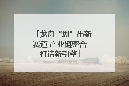 龙舟“划”出新赛道 产业链整合打造新引擎