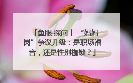 鱼眼·探问丨 “妈妈岗”争议升级：是职场福音，还是性别枷锁？