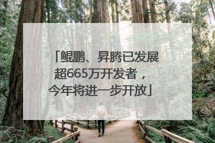 鲲鹏、昇腾已发展超665万开发者，今年将进一步开放