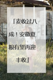 麦收过八成！安徽夏粮有望再迎丰收