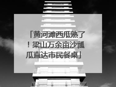 黄河滩西瓜熟了！梁山万余亩沙瓤瓜直达市民餐桌