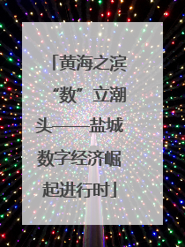 黄海之滨“数”立潮头——盐城数字经济崛起进行时