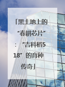 黑土地上的“春耕芯片”：“吉科稻518”的育种传奇