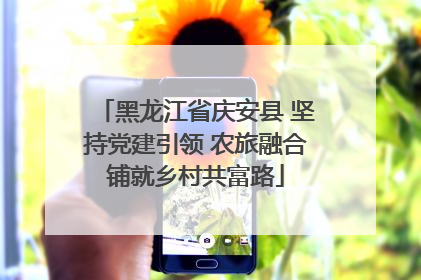 黑龙江省庆安县 坚持党建引领 农旅融合铺就乡村共富路