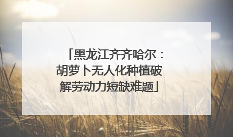 黑龙江齐齐哈尔：胡萝卜无人化种植破解劳动力短缺难题