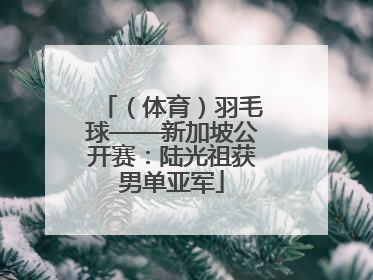 （体育）羽毛球——新加坡公开赛：陆光祖获男单亚军