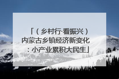 （乡村行·看振兴）内蒙古乡镇经济新变化：小产业累积大民生