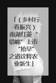 （乡村行·看振兴）南湖红菱“错峰”上市 “抢早”之道诠释农业新生