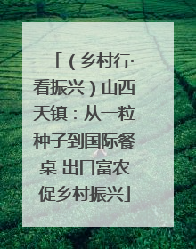 （乡村行·看振兴）山西天镇：从一粒种子到国际餐桌 出口富农促乡村振兴