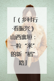 （乡村行·看振兴）山西襄垣：一粒“米”的新“稻”路