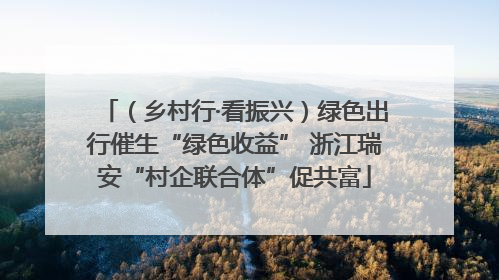 （乡村行·看振兴）绿色出行催生“绿色收益” 浙江瑞安“村企联合体”促共富